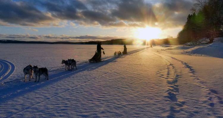 Sled dogs and sleds on a snowy landscape during sunrise or sunset.