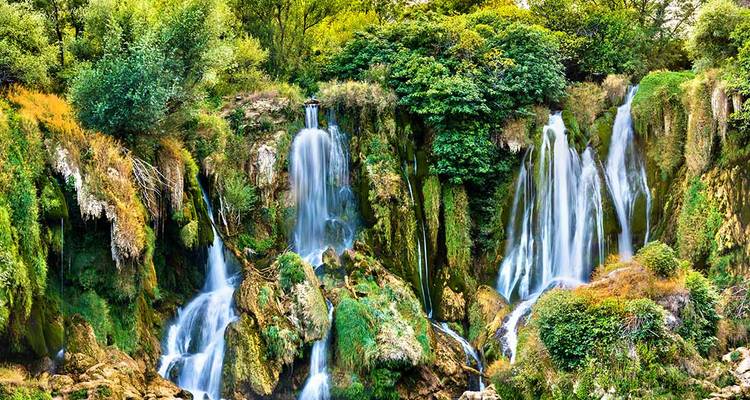 Paysage verdoyant luxuriant avec cascades et végétation.