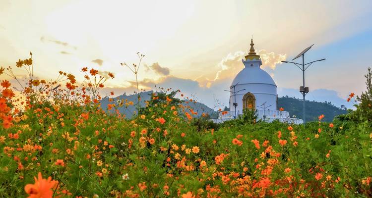 Una pagoda de la paz blanca rodeada de flores coloridas al atardecer.