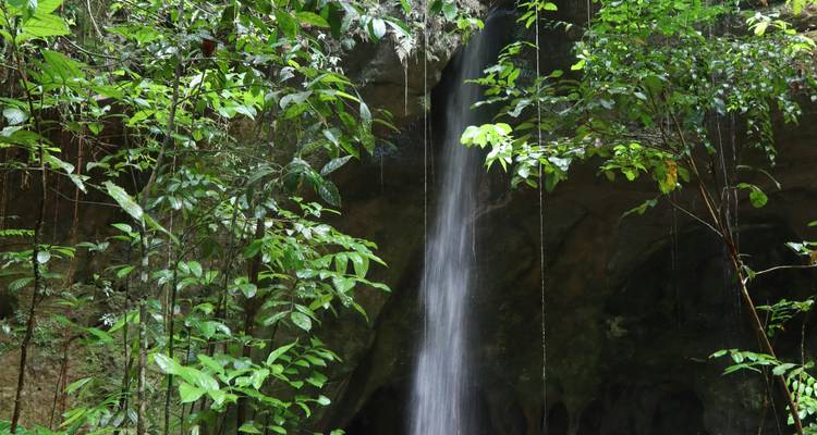 Grande cascade coulant à travers une végétation dense.