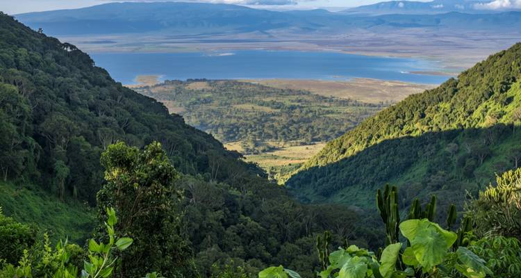 Vista panorámica del paisaje con un lago y colinas boscosas.