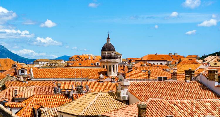 Vista panorámica de una ciudad con tejados naranjas.