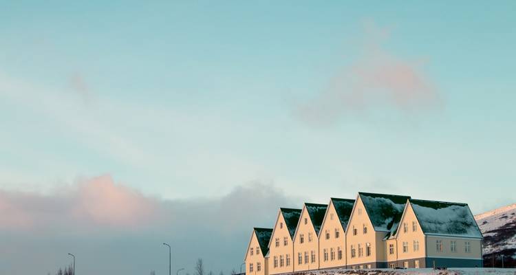 Row of identical houses with snowy backdrop.