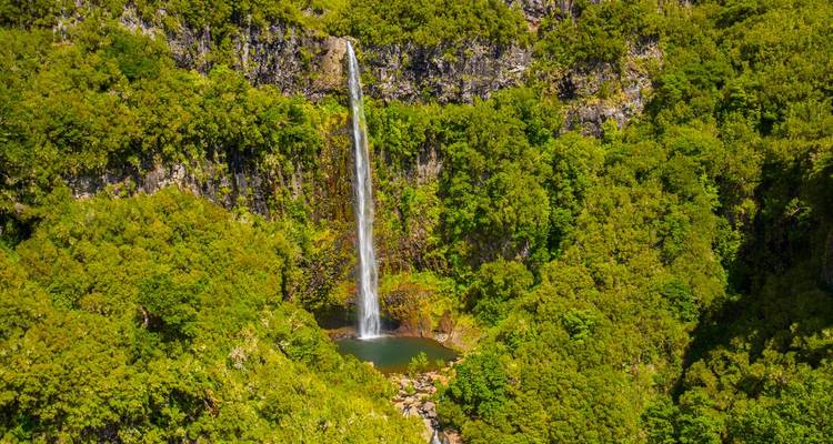 Tall waterfall surrounded by dense, green forest.