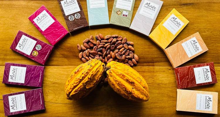 Cacao products and beans displayed in a circular arrangement on a table.