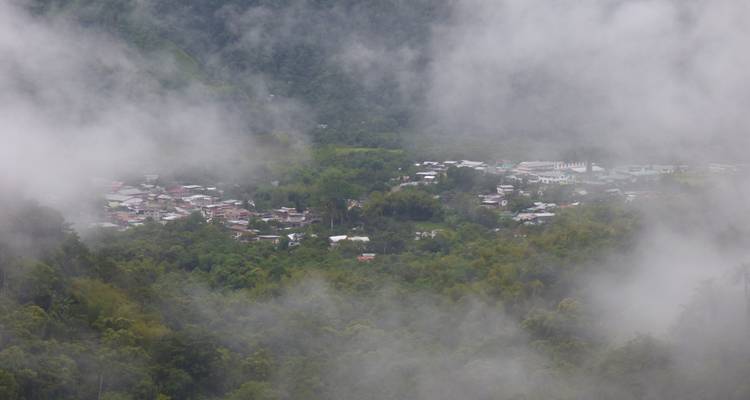 Misty view of a small village nestled in a dense forest.