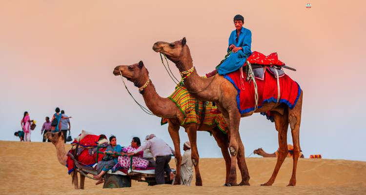 Camels and people in traditional attire at sunset in the desert.