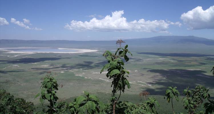 A wide perspective of a basin surrounded by mountains under a clear sky.