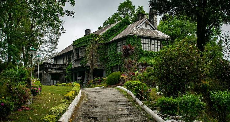 Une maison couverte de lierre avec une allée de jardin.