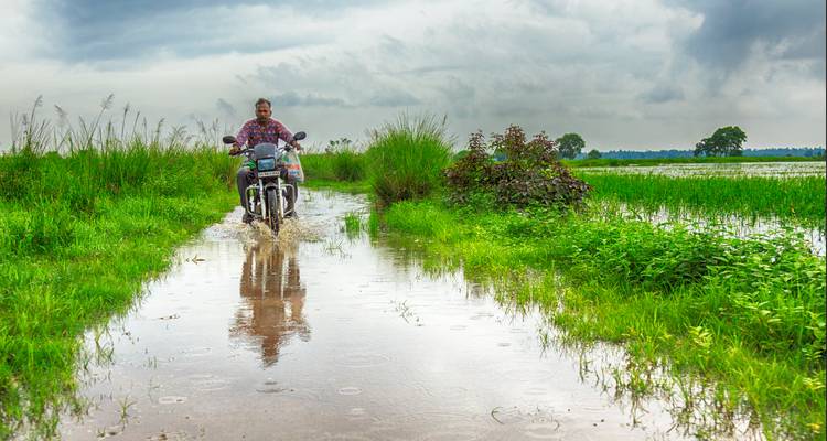 Person riding a motorcycle through a water-logged path in lush surroundings.