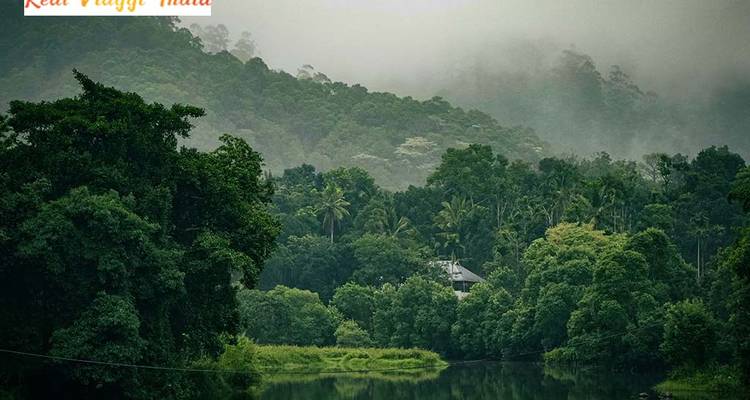 Tropical landscape with river and dense forest.