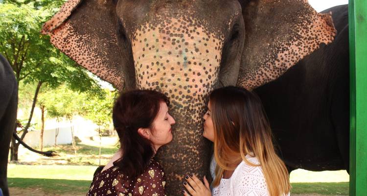 Dos mujeres posando cariñosamente con un elefante.