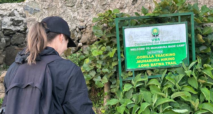Tourist reading a sign for Muhabura Base Camp for gorilla tracking.