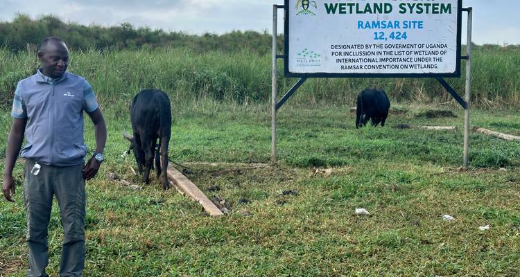 Wetland system sign with a person standing beside it.