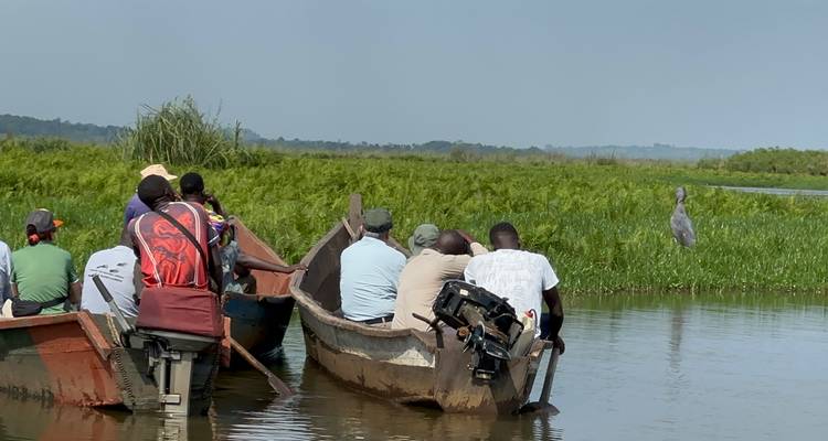Tourists in boats observing wildlife in a marsh area.