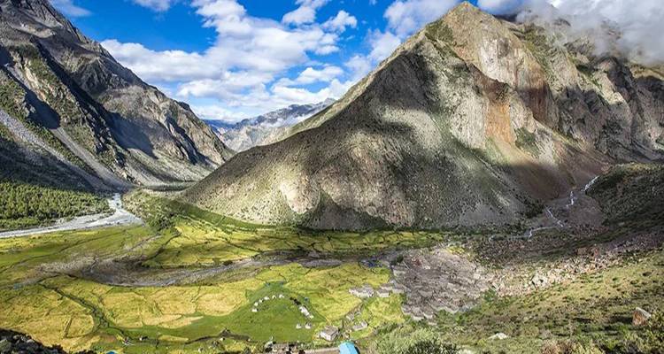 Vue panoramique d'une vallée avec une végétation luxuriante et des montagnes.
