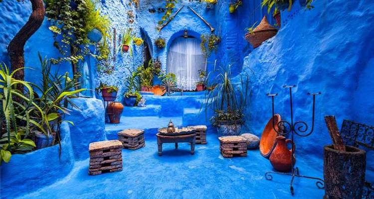 Cour bleue vibrante avec des plantes et une décoration marocaine traditionnelle.