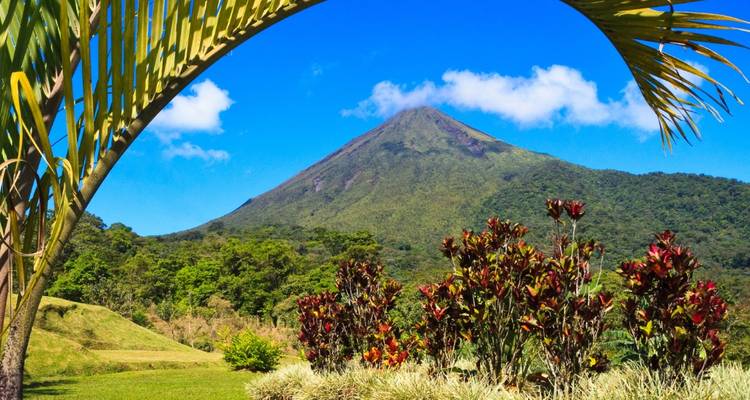 A lush green volcano rising under a vivid blue sky, framed by palm leaves and tropical shrubs in the foreground.