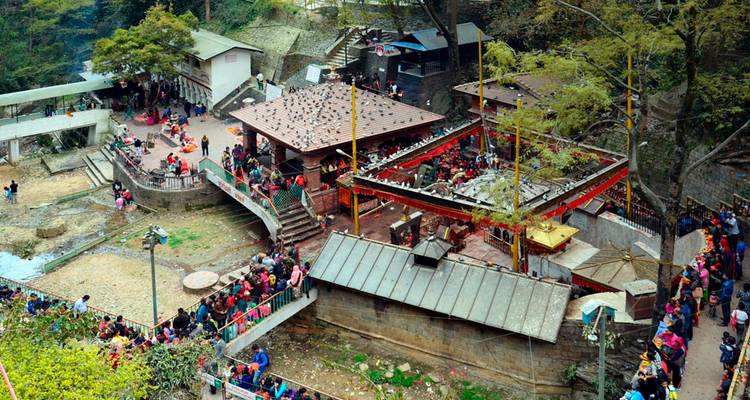 Des foules visitant un complexe de temples dans une zone boisée.