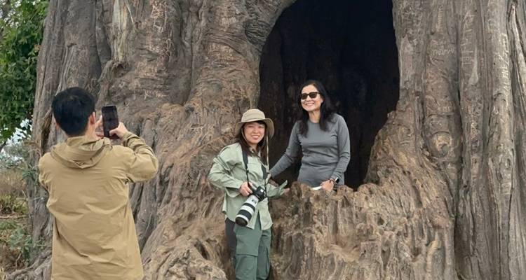 People taking photos near a large hollow tree.