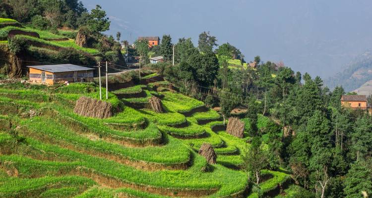 Terrasvelden en traditionele boerderijen op een heuvelflank.