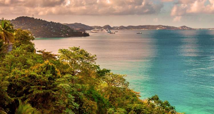 Costa tropical con cruceros en la distancia.