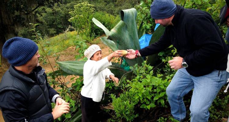 People gathering around a small plant.