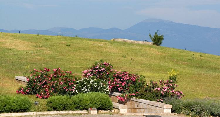 Scenic landscape with hills and flowers, Greece.