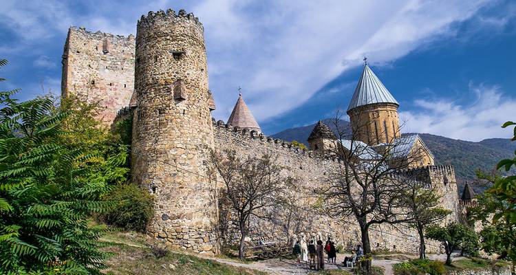 Forteresse médiévale avec des touristes à l'entrée.