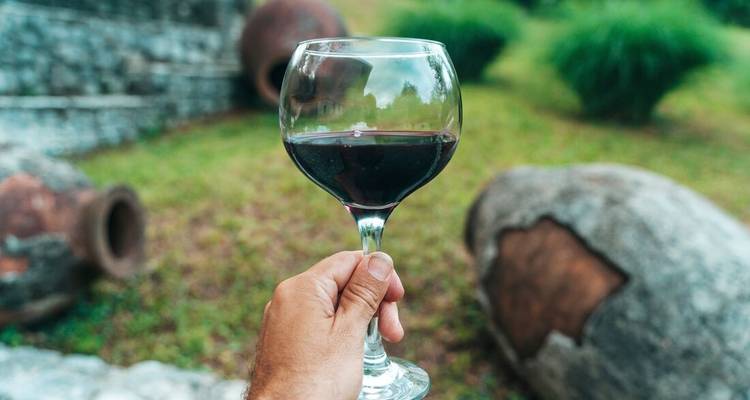 Una persona sosteniendo una copa de vino tinto al aire libre.