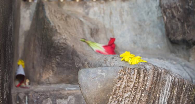 Flowers on a rugged stone surface.