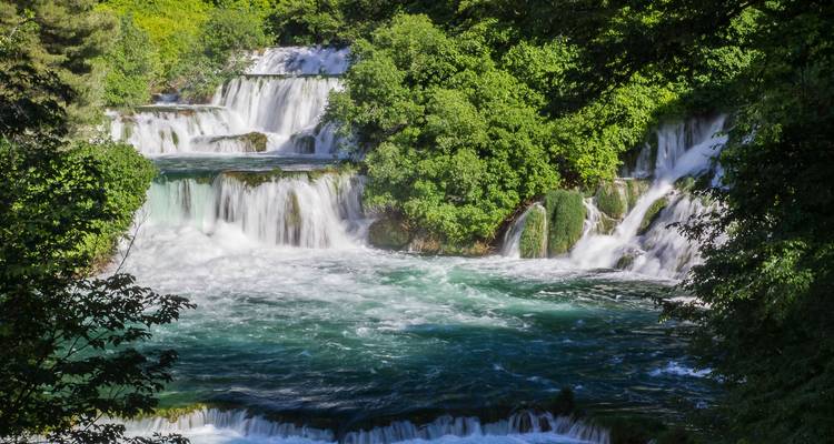 Waterfalls in a lush green forest.