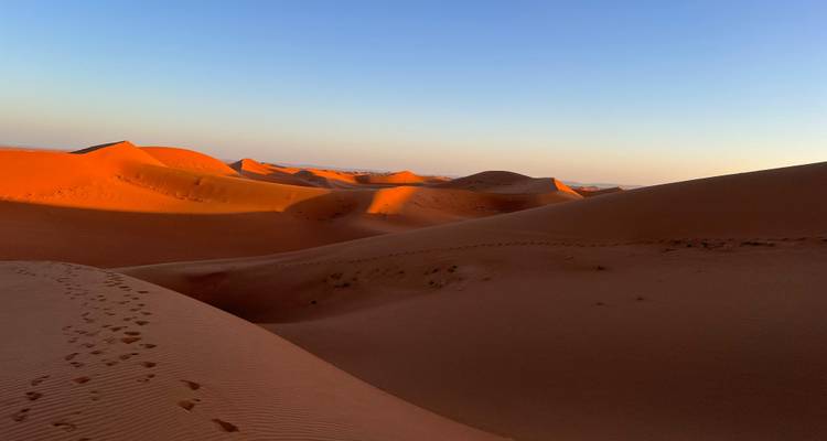 Dunes de sable au coucher du soleil projetant de longues ombres.