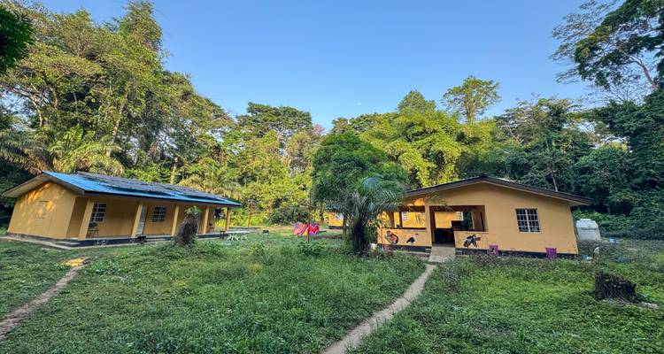 Maisons simples dans un environnement tropical luxuriant sous un ciel bleu.