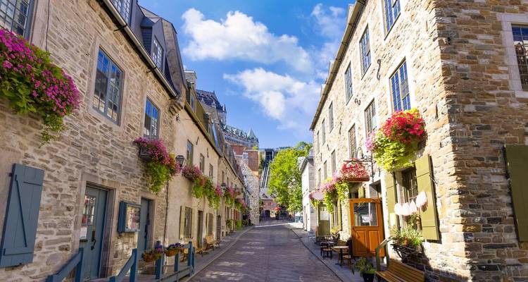 Rue pavée historique avec bâtiments en pierre et fleurs.