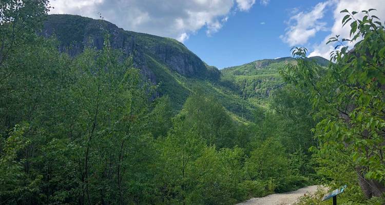 Un exuberante valle verde con paredes rocosas empinadas bajo un cielo azul moteado, visto desde un sendero forestal.