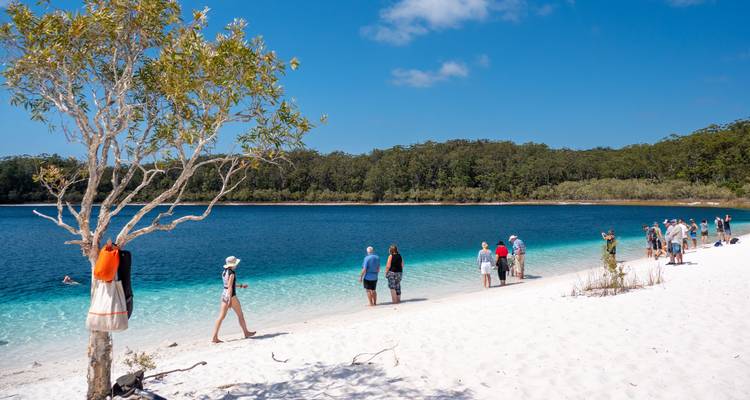 Groupe de personnes sur une plage de sable blanc avec des eaux claires et un arbre.