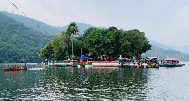 Island with trees in a lake surrounded by boats.