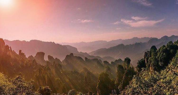 Vue panoramique du parc national forestier de Zhangjiajie au coucher du soleil.