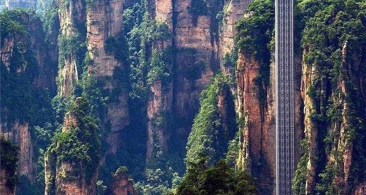 Hautes colonnes de grès à Zhangjiajie.