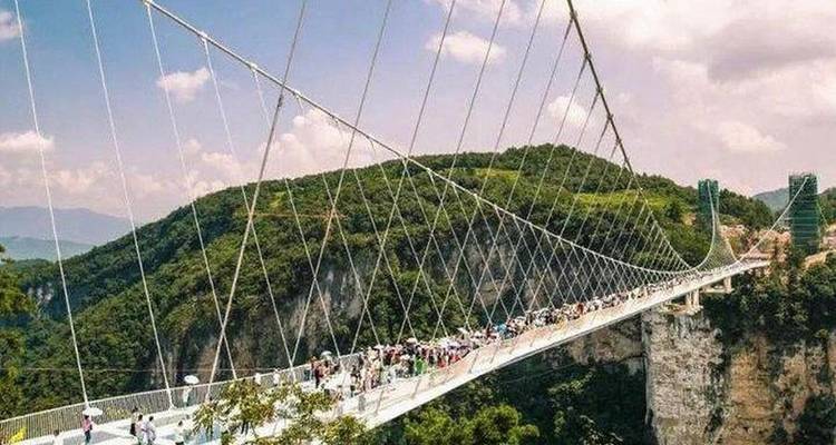 Pont suspendu au-dessus d'un canyon dans une végétation luxuriante.