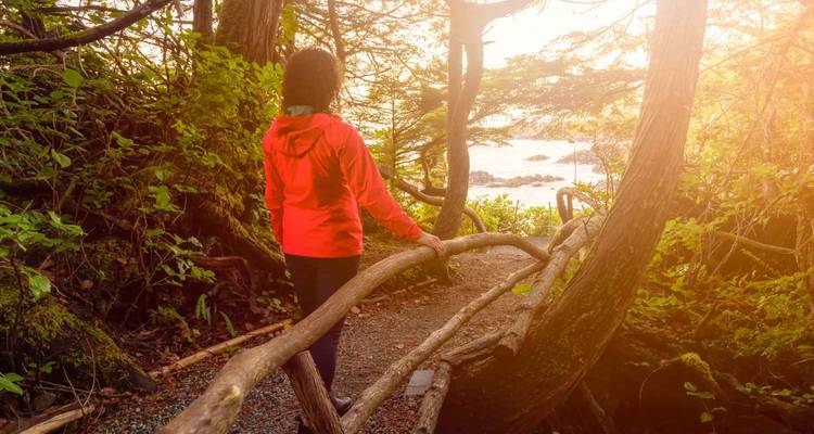 Personne marchant sur un sentier forestier avec vue sur l'océan.