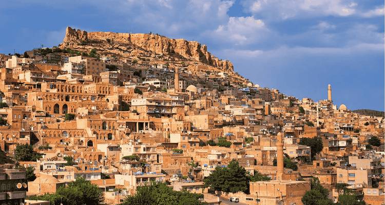 Scenic view of a historical town built into a hillside.