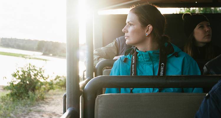A person sitting in a safari vehicle looking at the landscape.