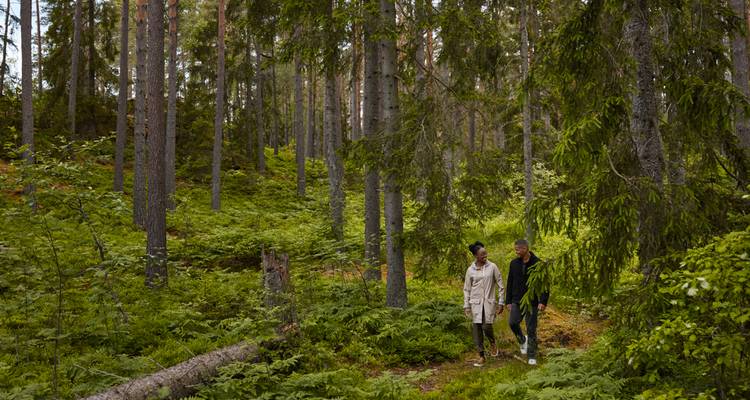 Pareja caminando por un sendero de bosque denso.