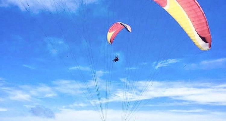 Des parapentistes volant dans un ciel bleu dégagé.