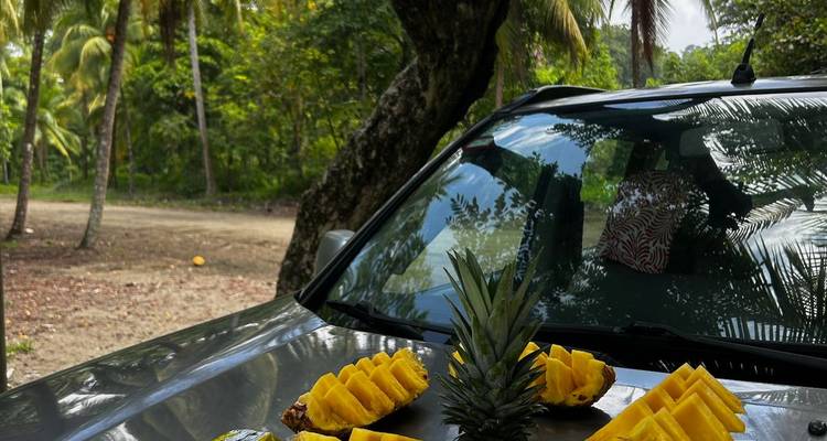 Un ananas et des tranches d'ananas exposés sur le capot d'une voiture dans un cadre tropical.