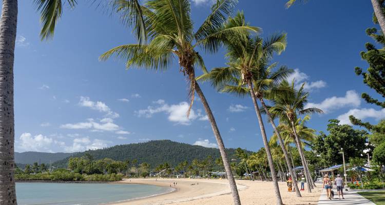 Plage tropicale avec des palmiers et des gens profitant du rivage.