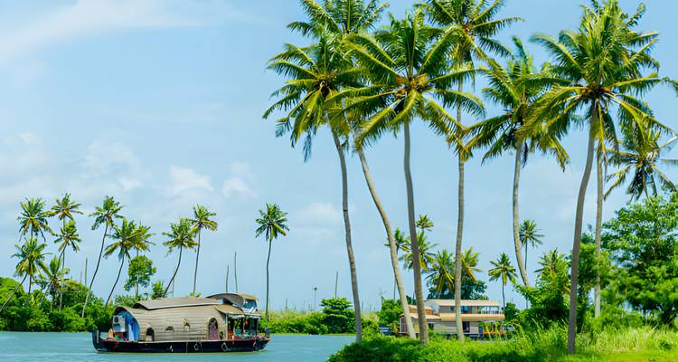 Houseboat on a river surrounded by palm trees under blue sky.