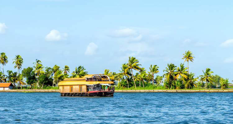 Yellow houseboat on a blue river surrounded by palm trees.